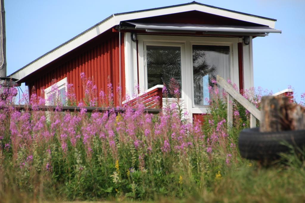Bjoerkebo Camping Stöllet Eksteriør billede